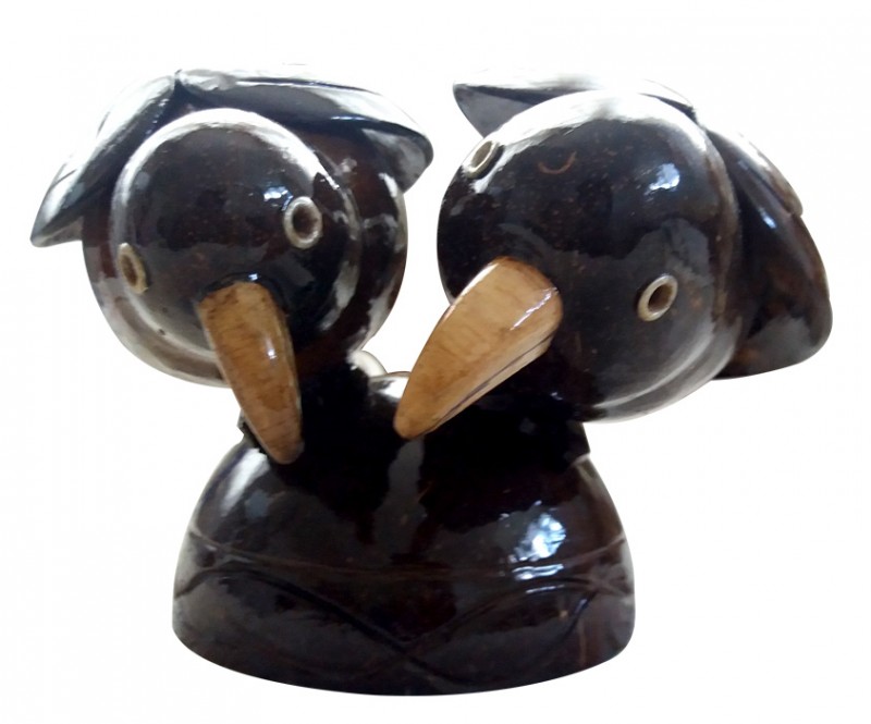 Parrot Couple-Shell Craft